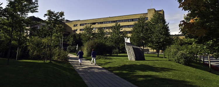 Sykehuset Telemark