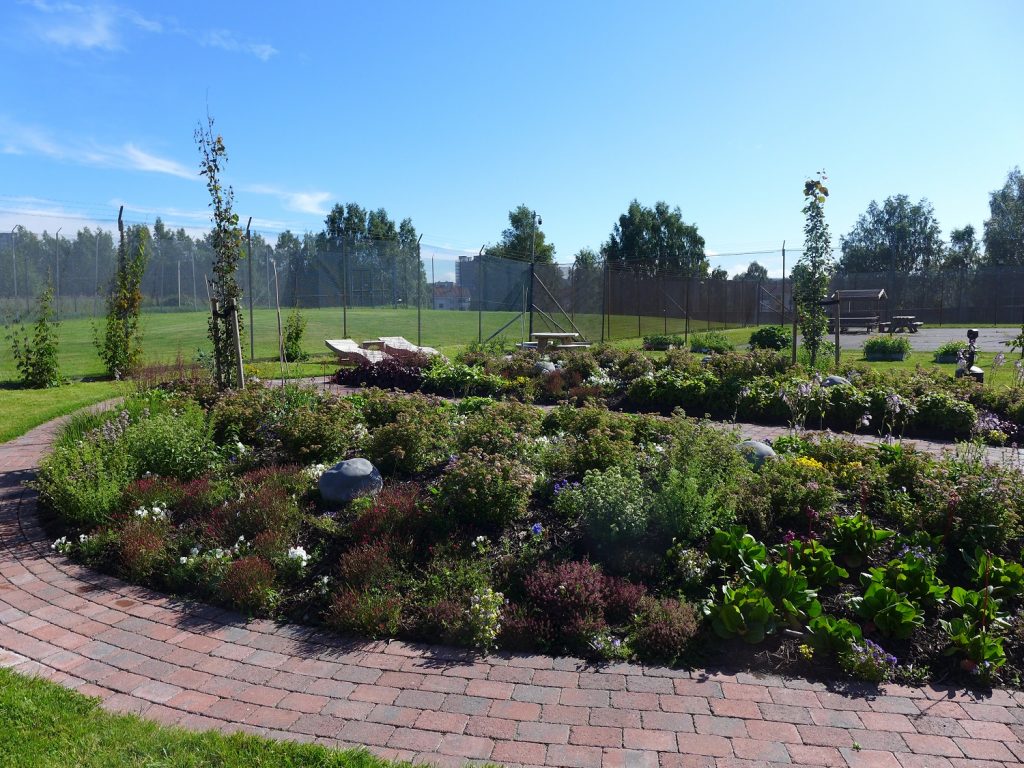 The garden was designed to bloom from early spring to late autumn. Inmates can lie on sunbeds, and harvest berries and leaves for tea. It is also possible to do some weeding, sit by yourself, or just take in the scent of all the different plants.