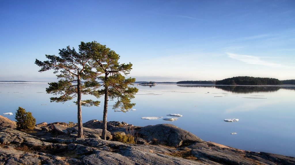 Illustrasjonsbilde to trær og utsikt over vann