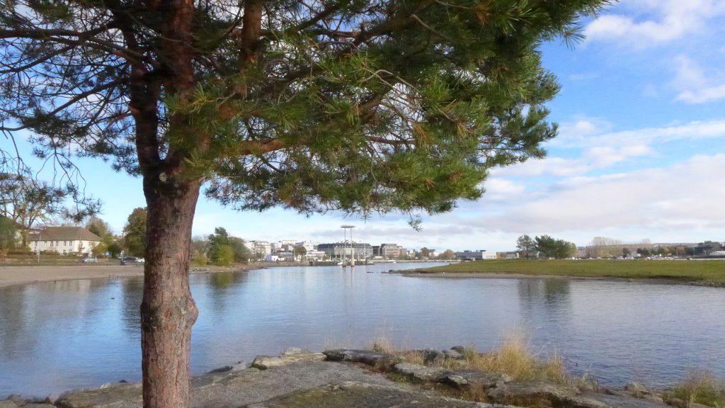Utsyn over vann med hus i det fjerne og tre til venstre i bildet